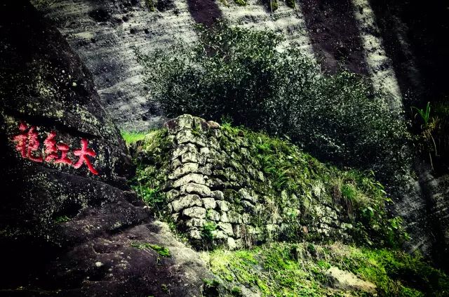 还原大红袍的真相，让喝茶变得简单。