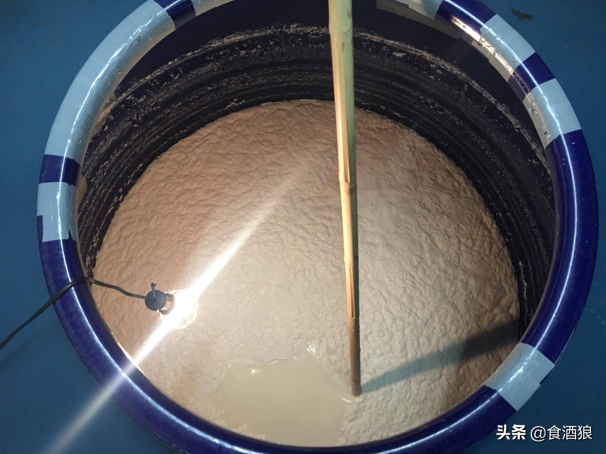 来去酒造喝清酒!玉川酒造见学