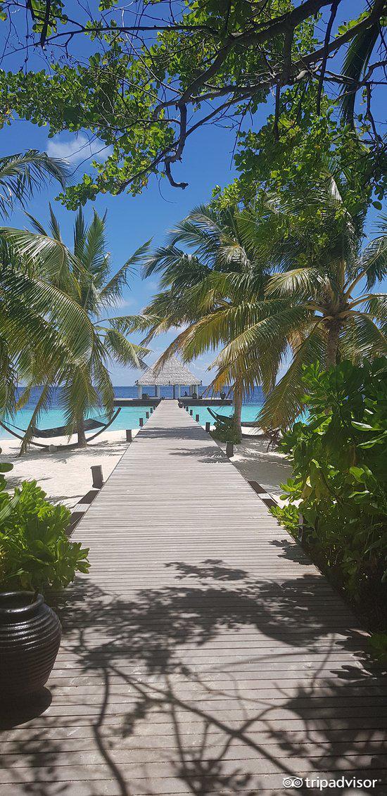 马尔代夫可可波杜希蒂岛价格,马尔代夫波杜希蒂价格