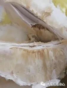 在网上买水果遇到假货怎么办,网上购买水果会被坑吗