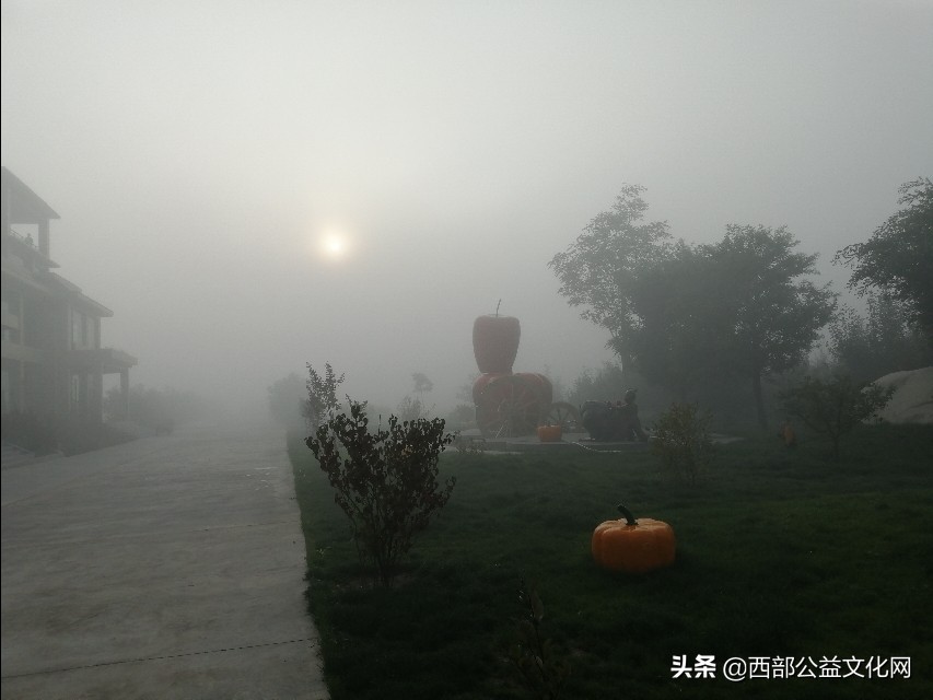 金苹果，是河西走廊一颗璀璨的明珠