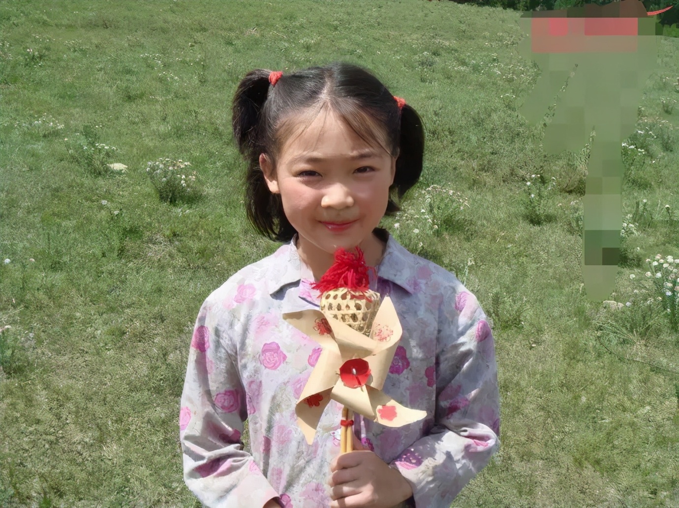 6岁出道10岁时一夜成名,6岁出道红极一时