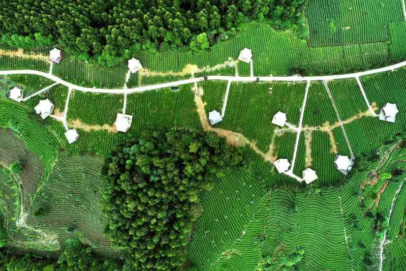 各种蒸菜怎么蒸好吃,蒸蒸菜的正确蒸法