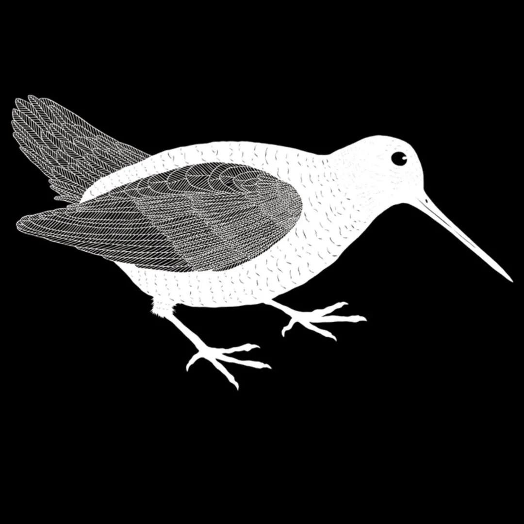 她用一把手术刀在2毛钱废报纸上雕出精美图腾,一幅卖60万