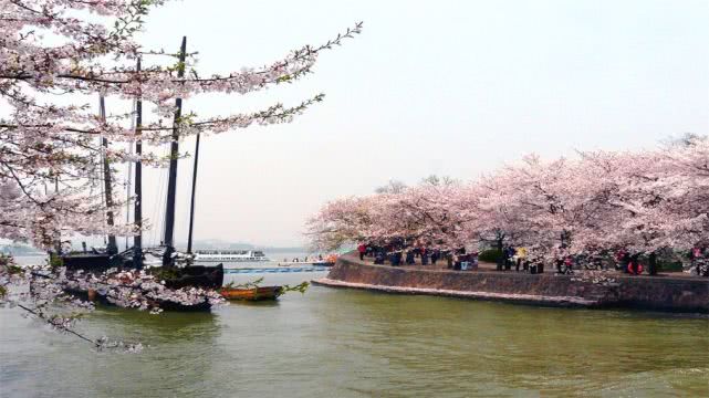 苏州太湖和无锡的区别,无锡太湖和苏州太湖