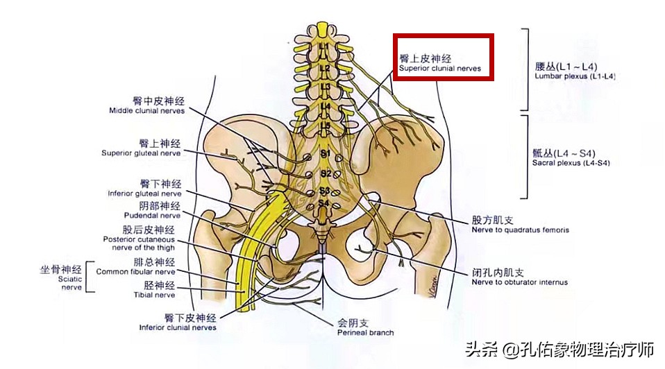 有腰间盘突出症右屁股疼怎么回事,腰骶疼痛是腰椎间盘突出引起的吗