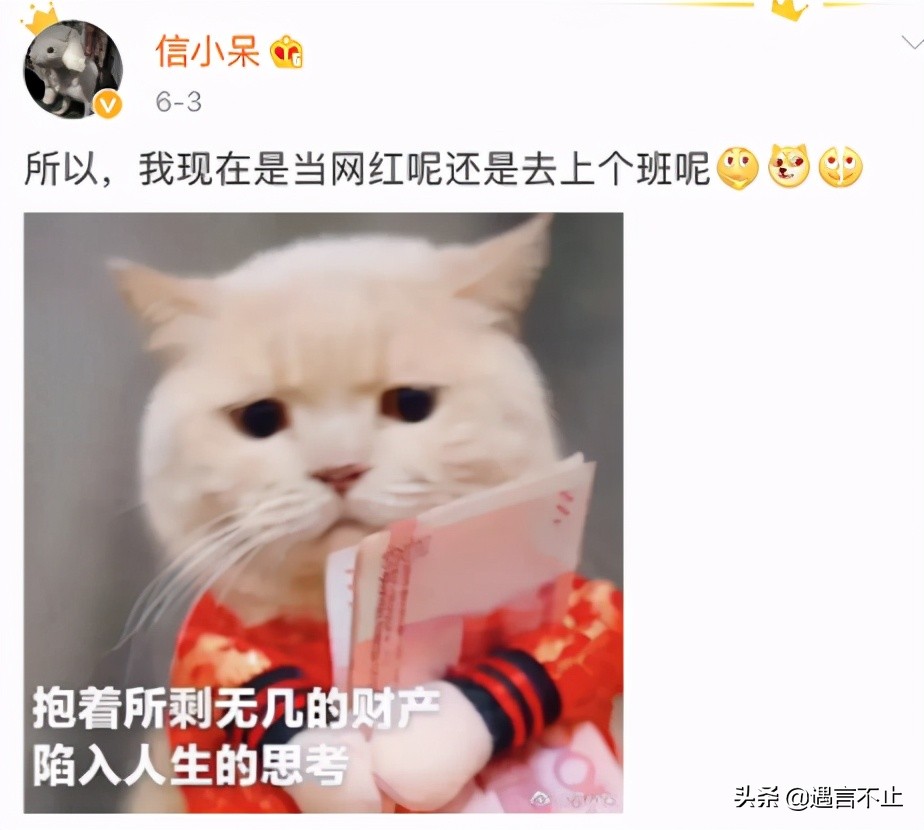 中国锦鲤百万奖,中国锦鲤王2000万