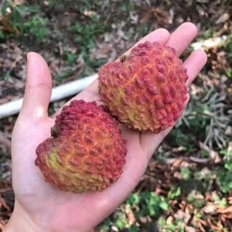 马云说实体店倒闭不是我的错,马云谈未来实体店的前景