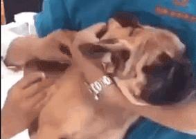 “闺蜜看见我脱毛,说我心机太重”