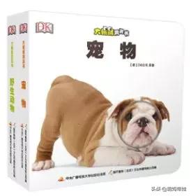 dk科普书怎么样,dk值得入手的书籍