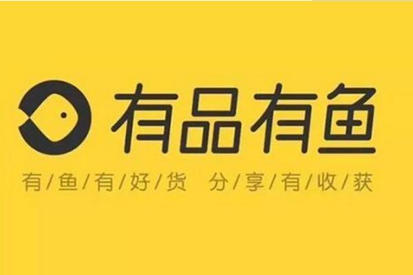 十大社交电商排名，粉象为什么能拍第一？