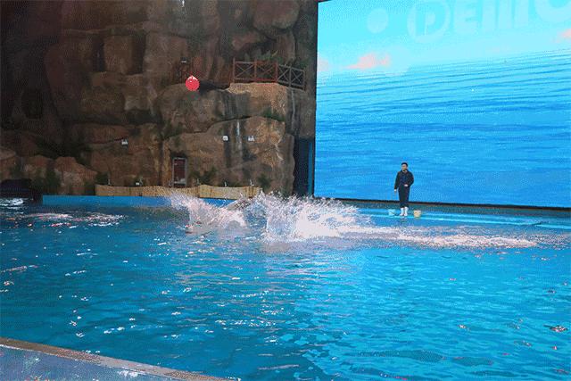 暑假余额已不足该注意什么,暑假余额即将不足