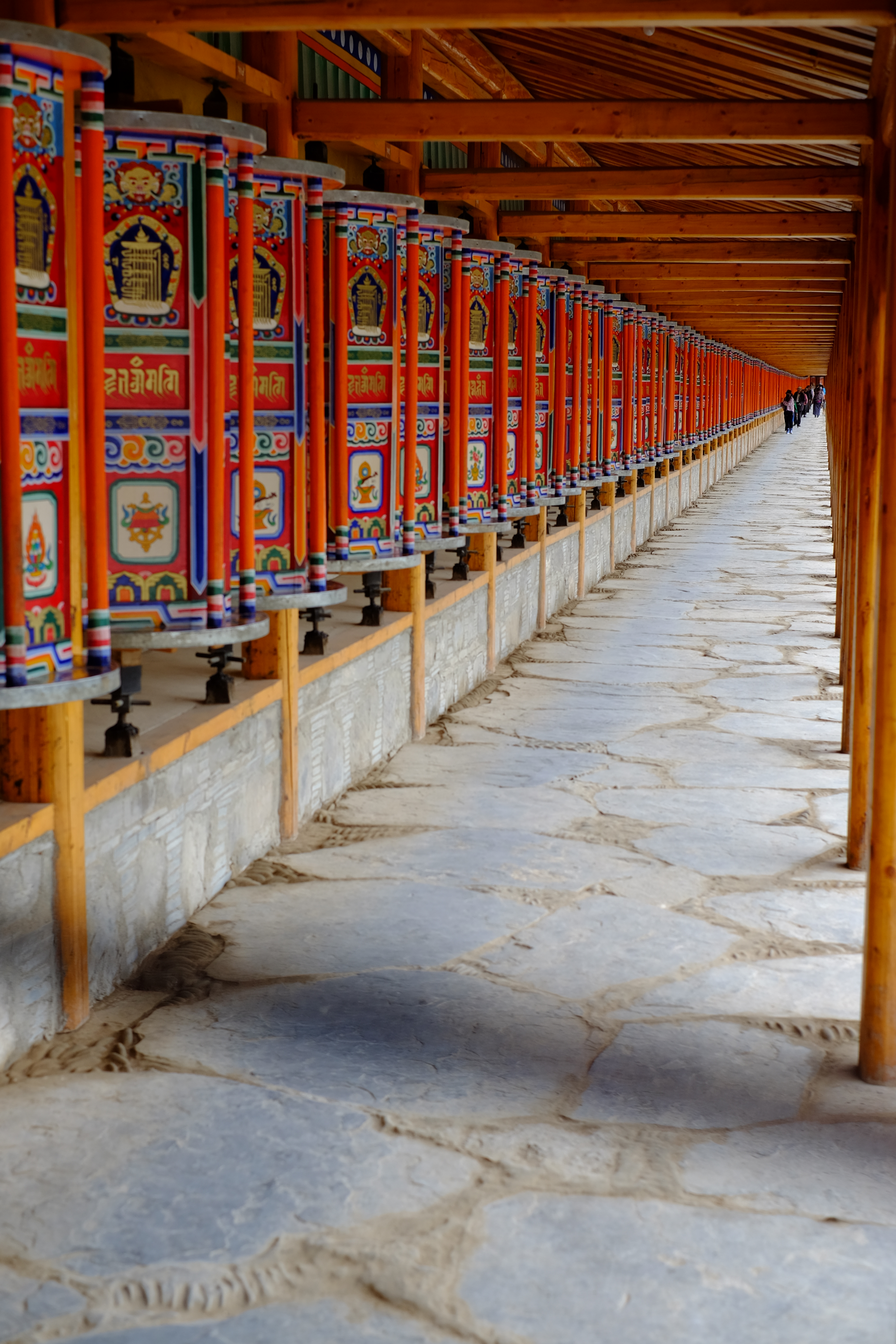 九色甘南之旅,九色甘南净土天堂深度之旅攻略