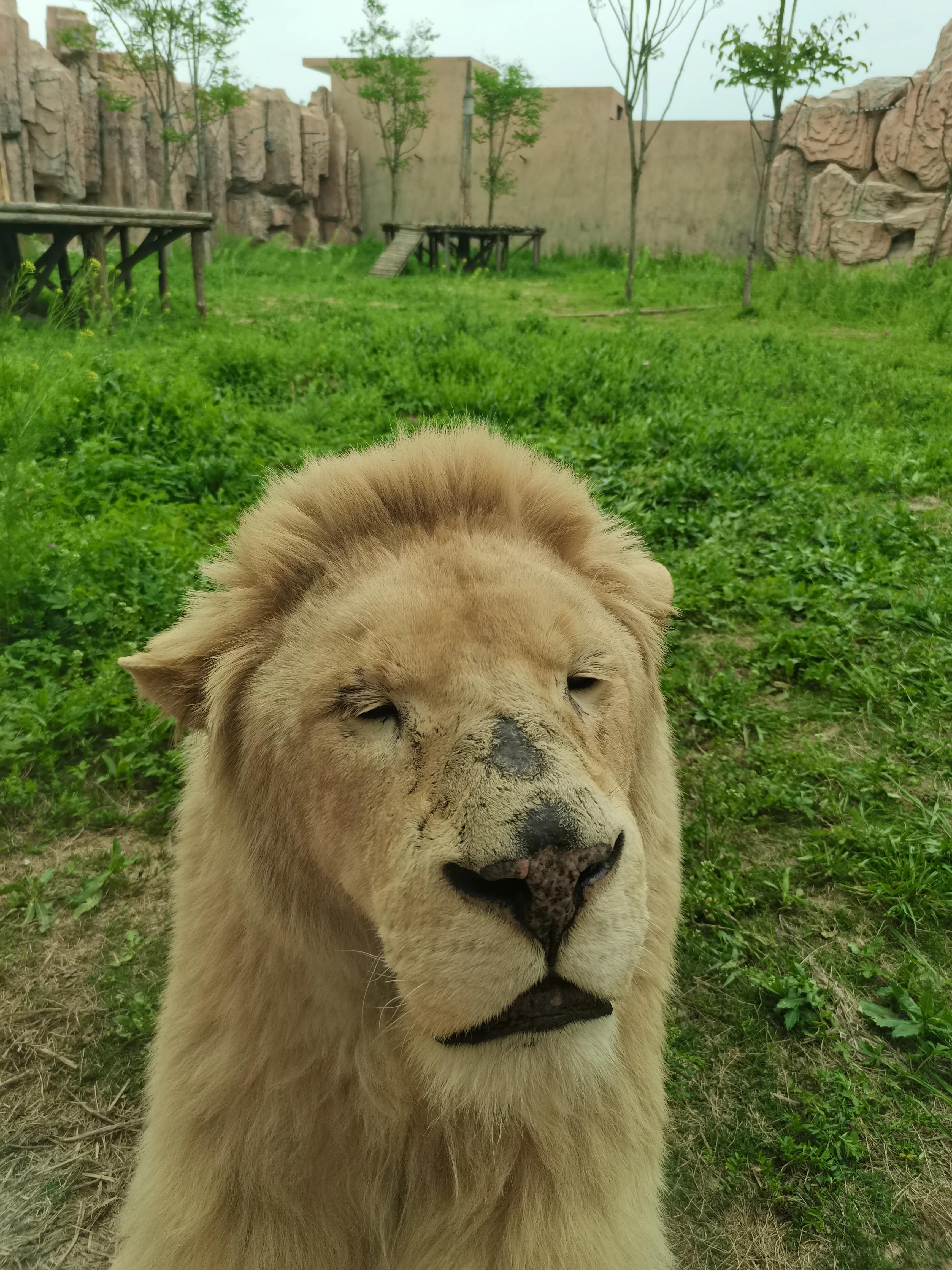 济南野生动物园和宿州野生动物园,宿州野生动物园到宿州皇藏峪
