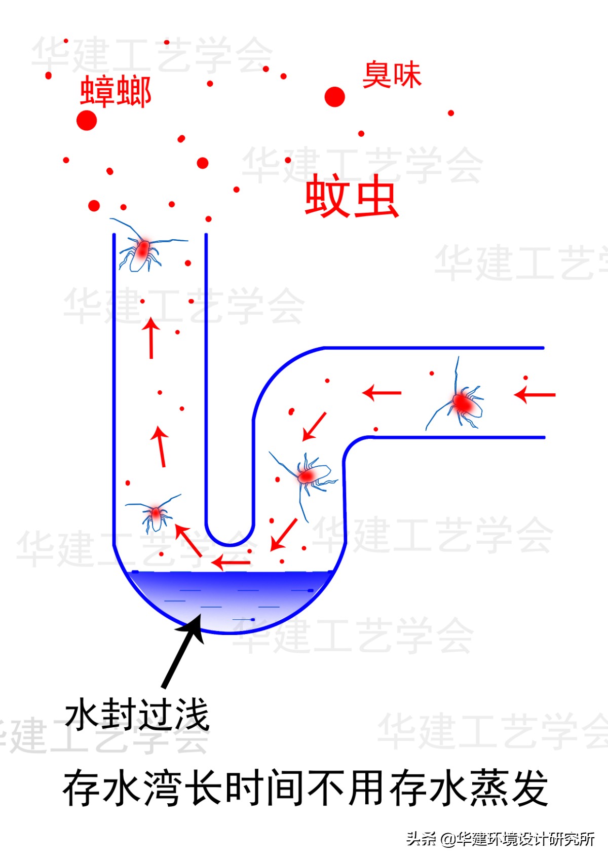 存水弯住宅设计规范,装修安装存水弯的效果