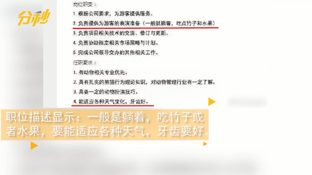 72万年薪!招聘演员假扮熊猫?网友炸了,动物园急了