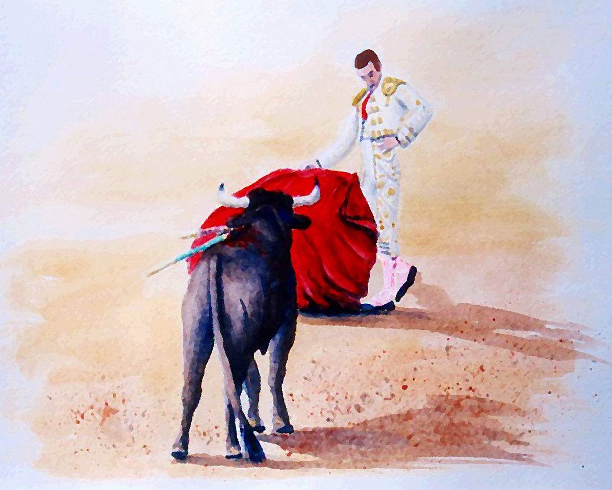 千奇百怪的动物眼睛，它们有各种各样的奇怪用途，和人眼相差甚远