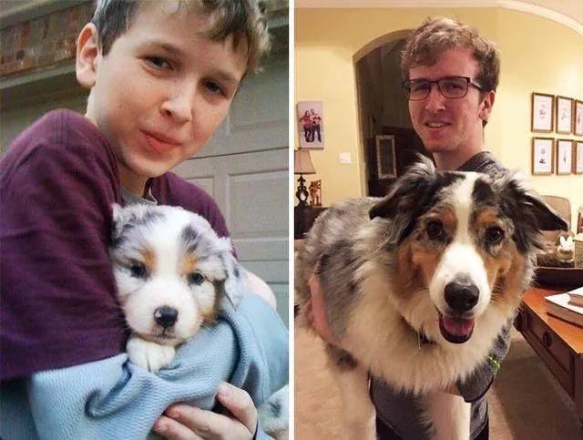 狗子偷偷亲我的第N次，难道不是真爱吗？