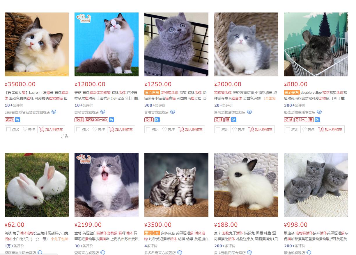 怎么防买到星期猫,如何避免在市场买到星期猫