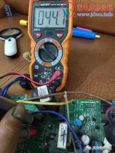 一群人和一只壁虎引发血案,一只壁虎引发的事件