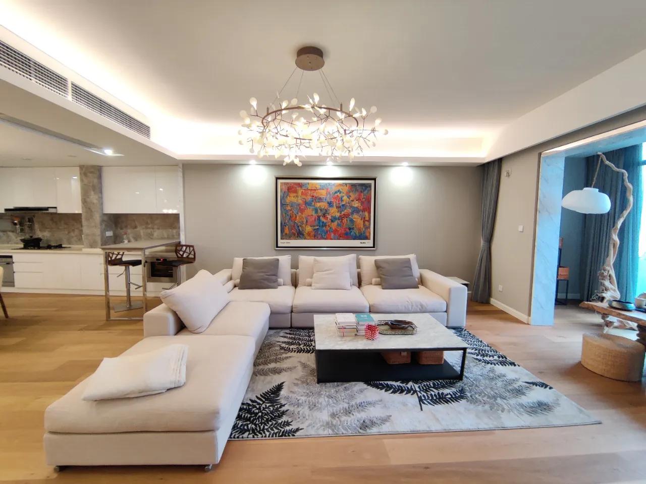 北辰定江洋425平江景大平层,北辰定江洋哪一栋江景视野最好