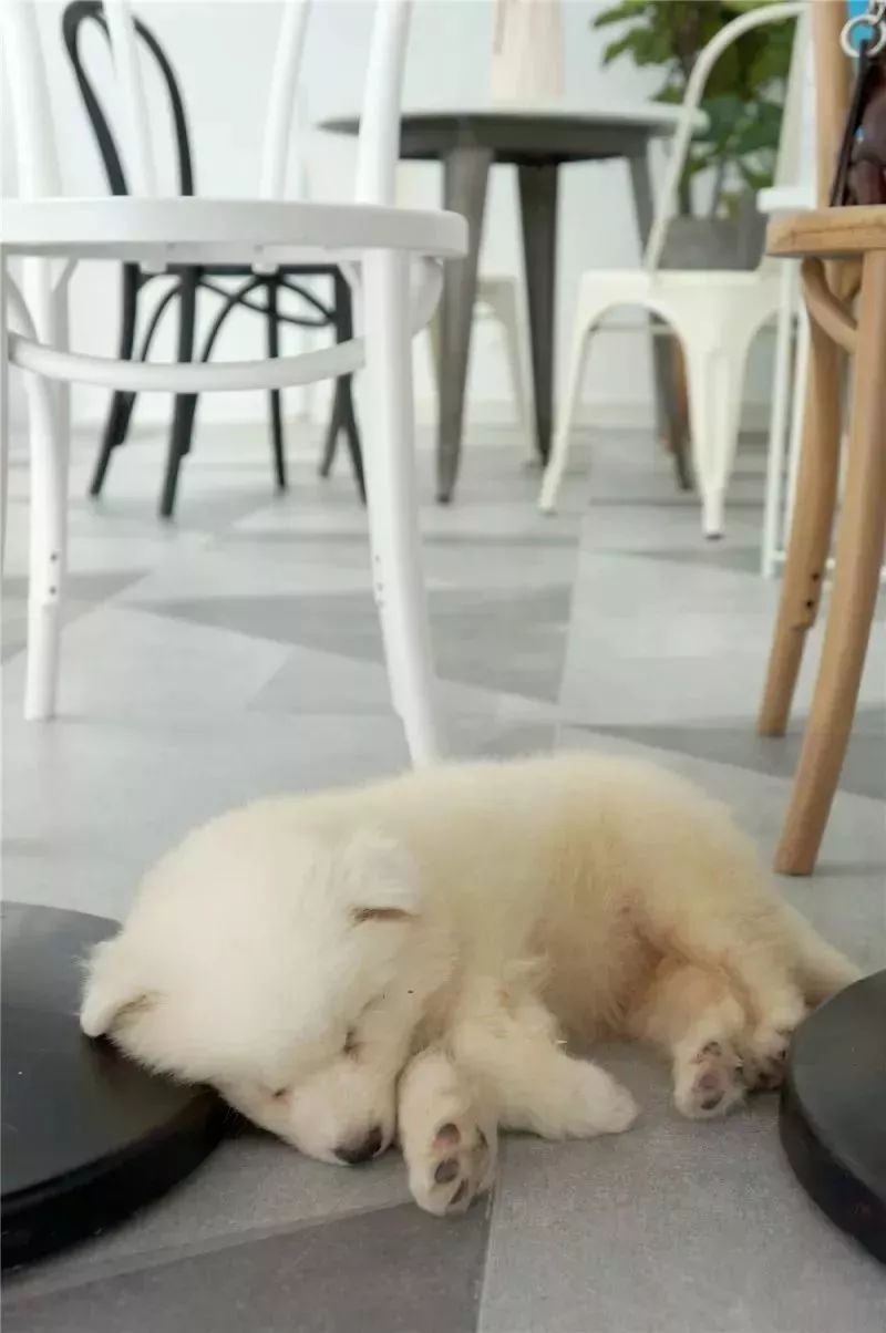 90年代老新村,藏在老小区里的地道老味道