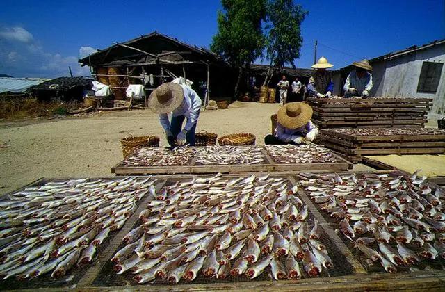 台山知名景点有哪些,台山最多华侨的镇排名