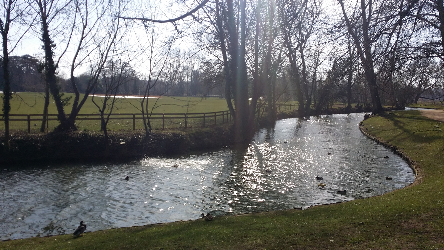 鎬庝箞璇勪环绾藉崱鏂皵澶у,绾藉崱鏂皵澶у娣卞害瑙ｆ瀽