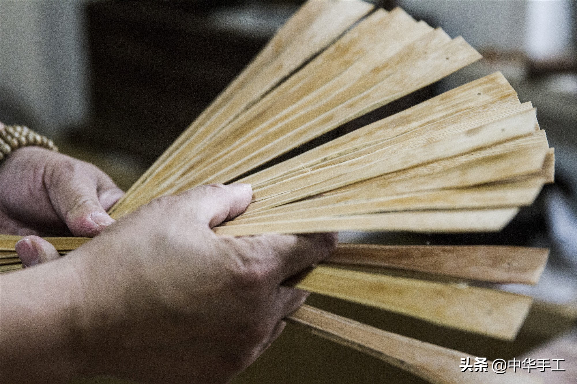 什么季节适合保养扇子,关于扇子你不知道的十个冷知识