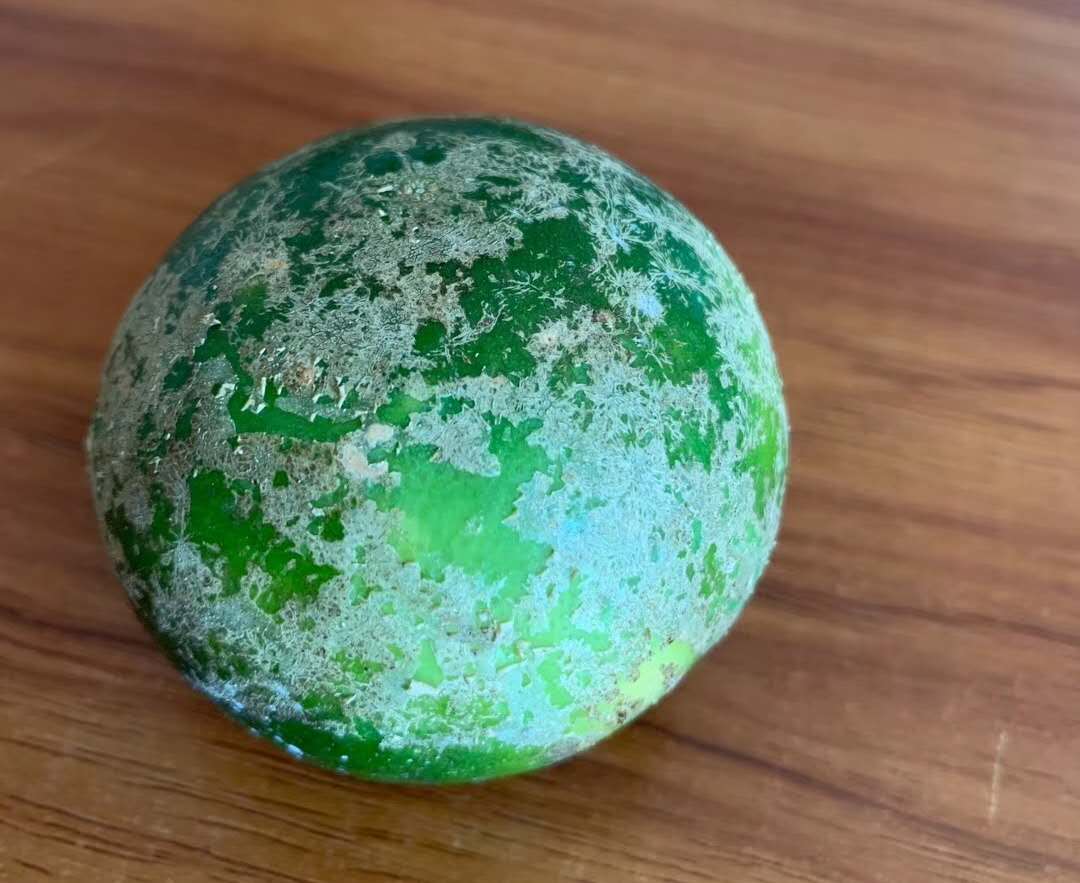 柑橘白癞病阴蔽果园频发，与其他花皮果如何区分？该如何防治？