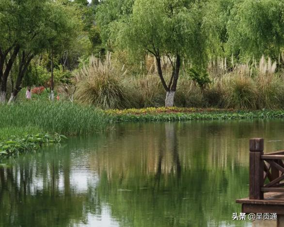 渔浦寒泉生态湿地公园在昆明哪里,昆明渔浦寒泉公园开放了吗
