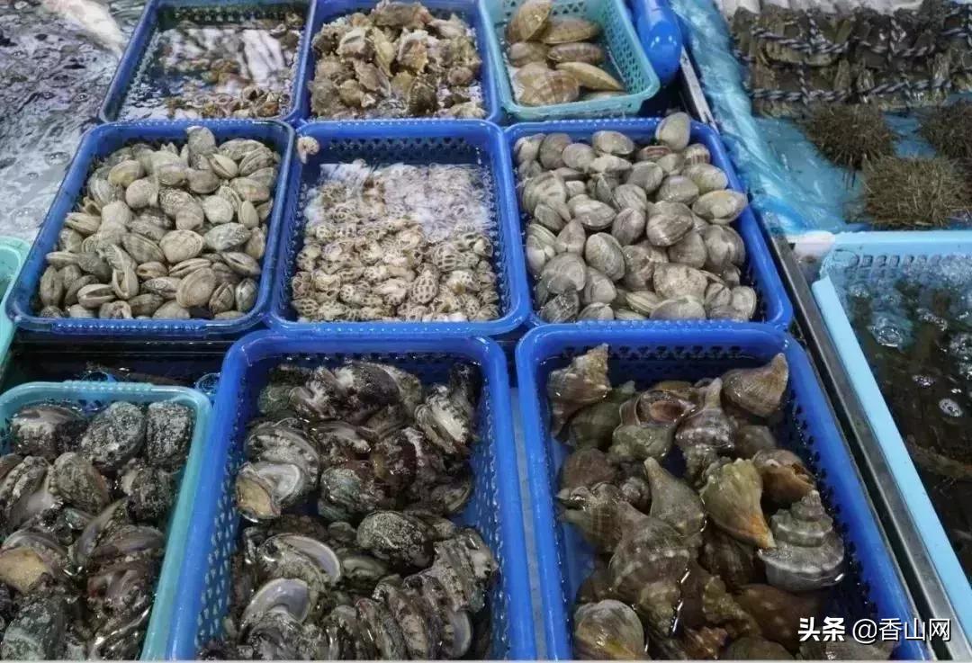 珠海有哪些海鲜街,珠海南屏海鲜街