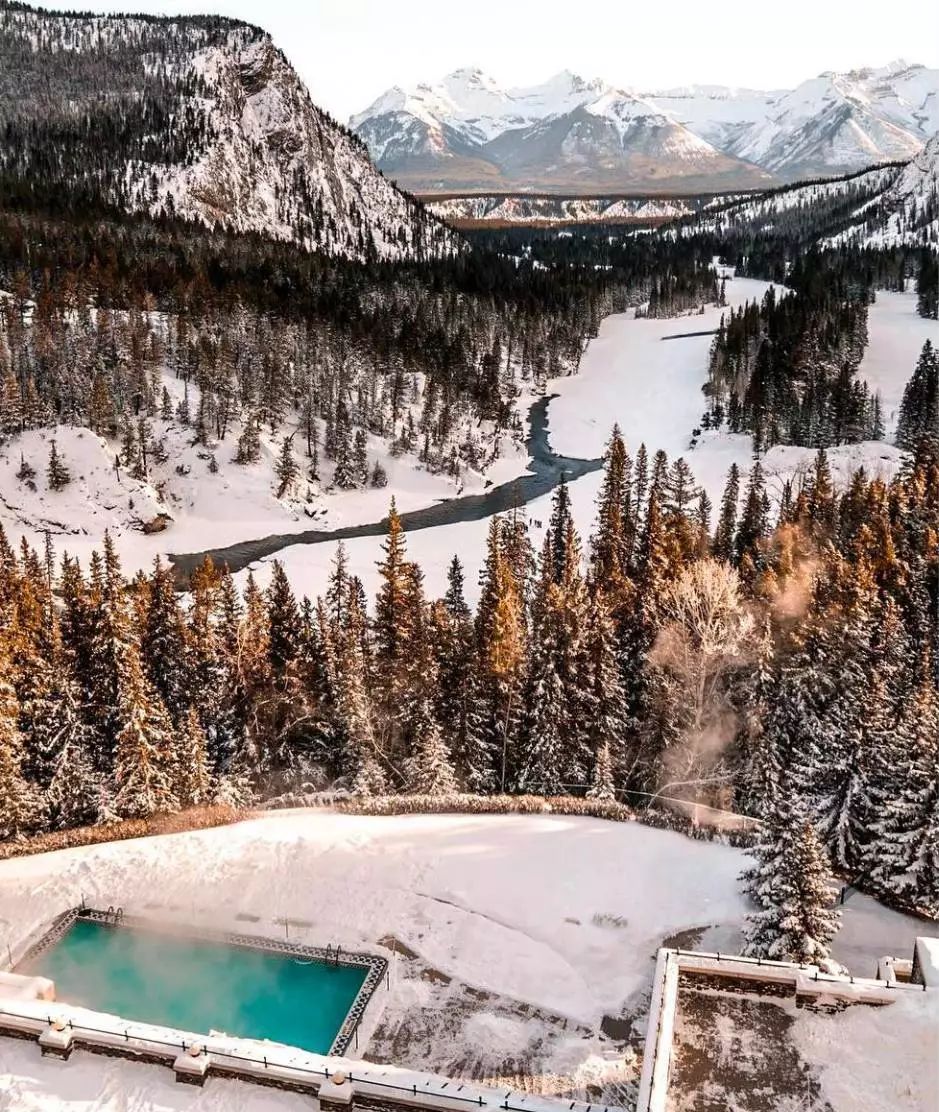 冬季世界冠军,世界冠军的辛酸