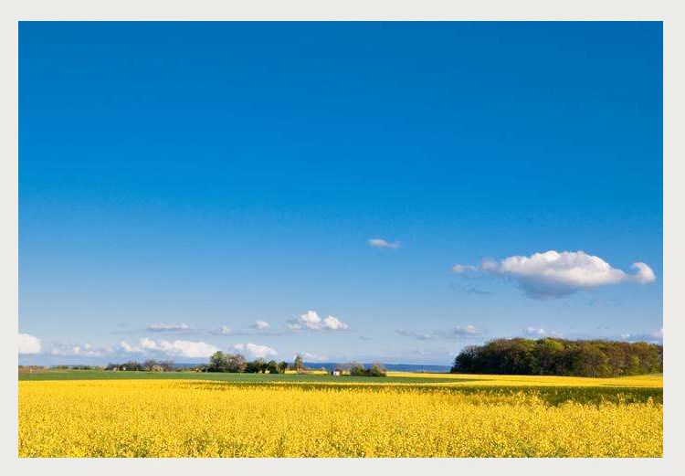 神奇的中文10人读9人读错,神奇的中文十人有九人读错