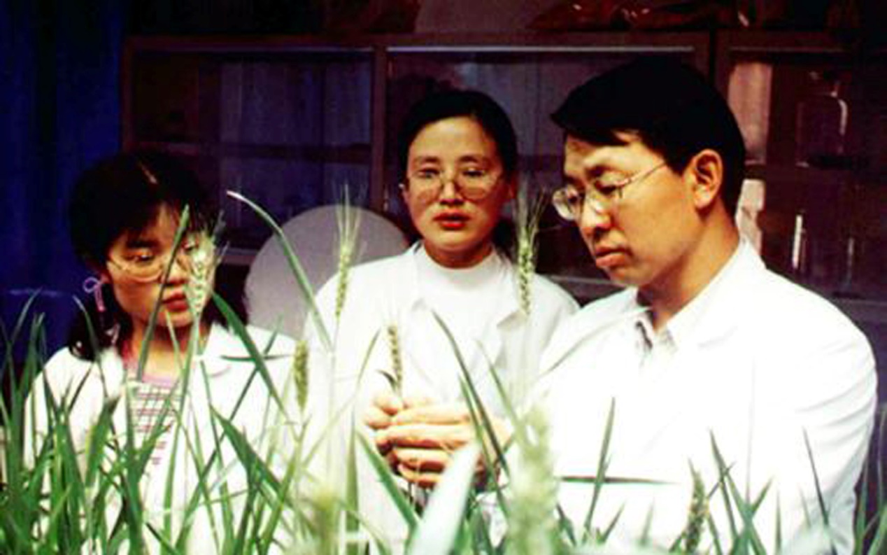 张福锁大理科技小院,张福锁科技小院有几个