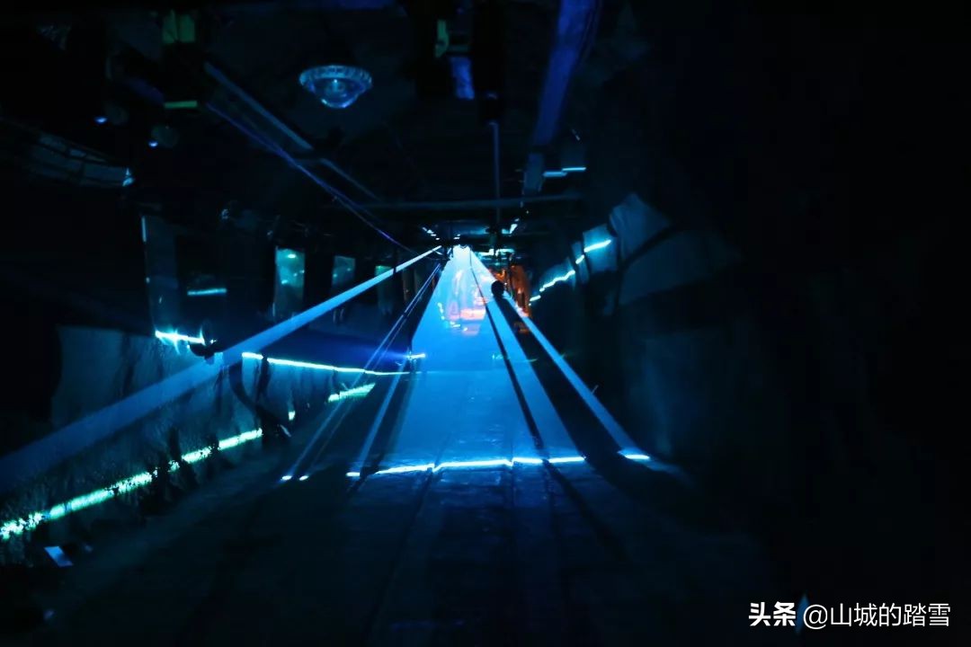 乐山嘉阳小火车值得去吗,嘉阳小火车与乐山大佛相隔多远