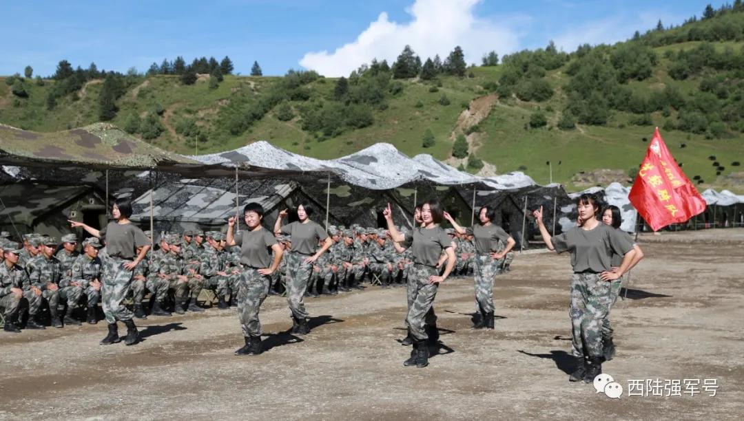 西南猎豹豹头,西南猎豹高原