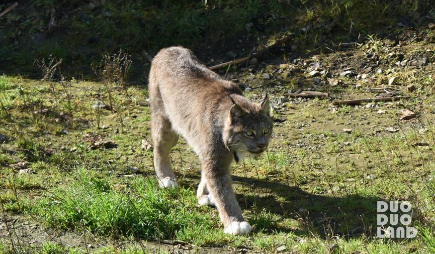 多·样|Evelyn:那些来自大自然的馈赠,原来都在旅行的日子里