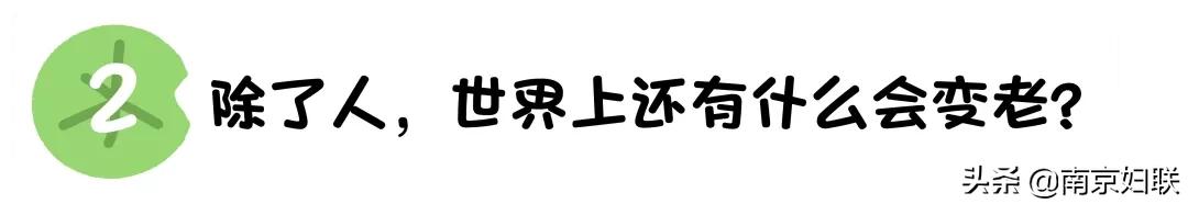 宁姐137空中课堂|所有事物都会老去吗？——《小脑袋里的大问题》第28讲：什么是老了（下）
