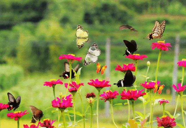 只要19.9元!3000+昆虫萌宠来袭!首届昆虫萌宠主题沉浸展空降武汉