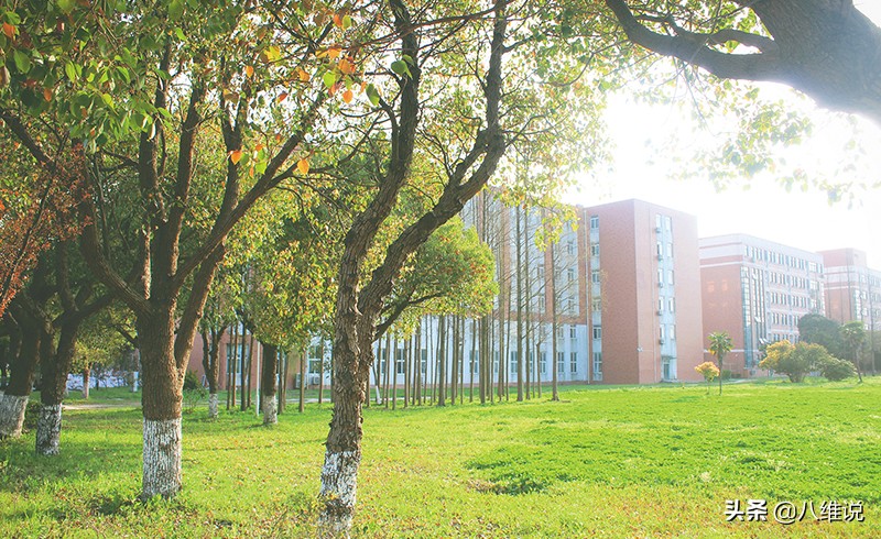 教师节老师送礼物一般送多少,教师节老师送礼物多少合适