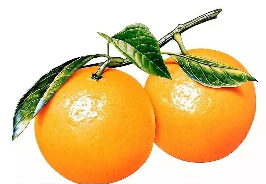 多名女性受害的后果,多名女性受害案