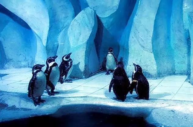 辽宁旅游景点推荐3天自由行,辽宁学生旅游景点推荐