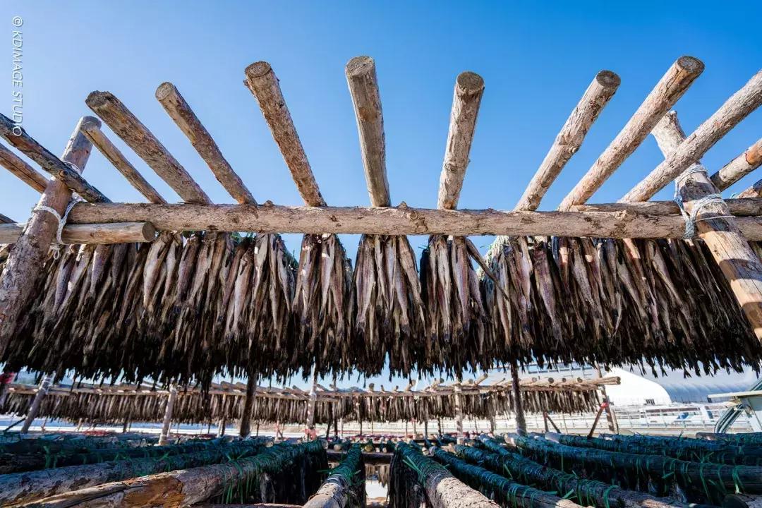 想在韩国发现美翻了的小众去处？这份详细旅行清单绝对不可错过