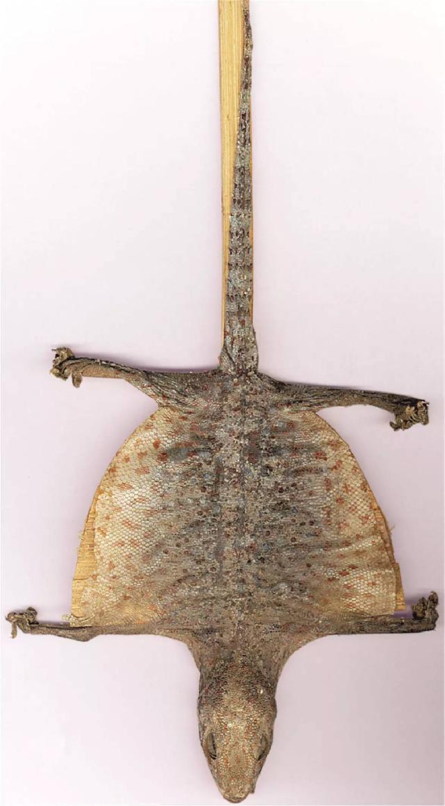 脆皮乳鸽最正宗的配方,秘制特色乳鸽