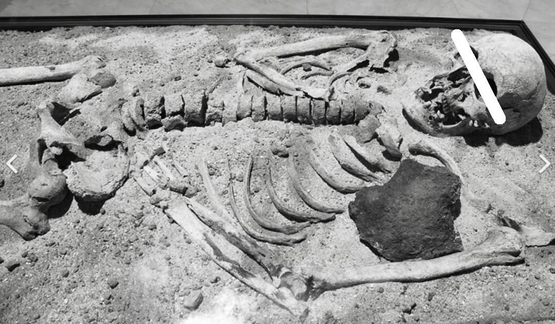 吸血鬼起源的真实故事,吸血鬼在古代是怎么来的