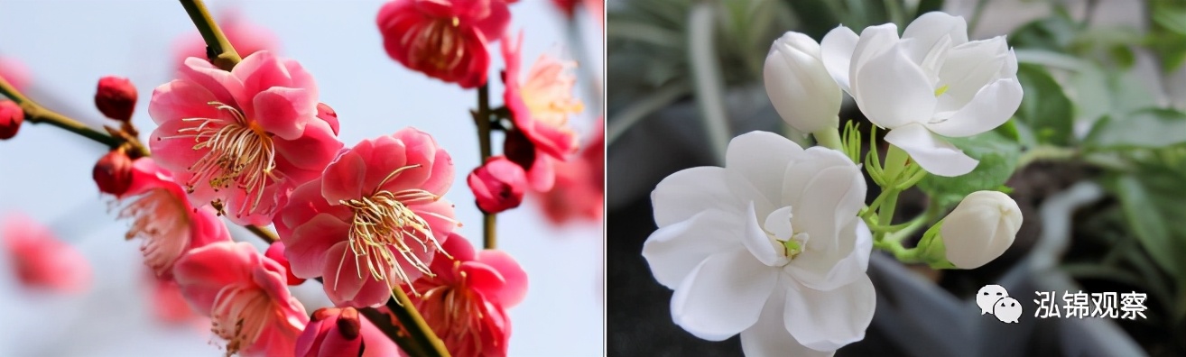 南京一座古老而又时尚的城市,南京一处低调的山