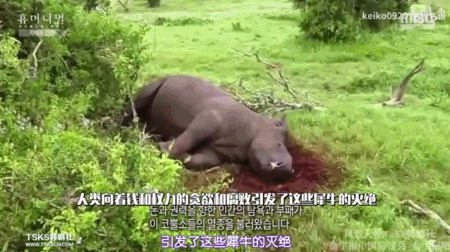 被已婚男欺骗致怀孕一尸两命,女孩儿被骗怀孕最后被杀害