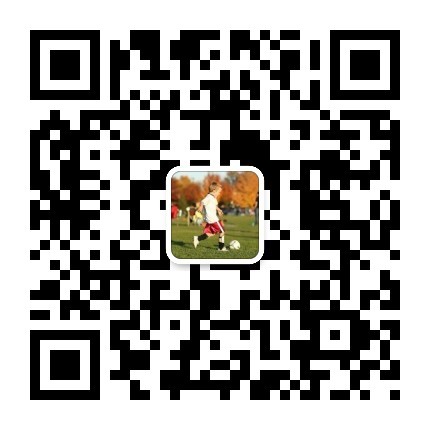 fifa21ut模式是打人机吗,fifa21ut