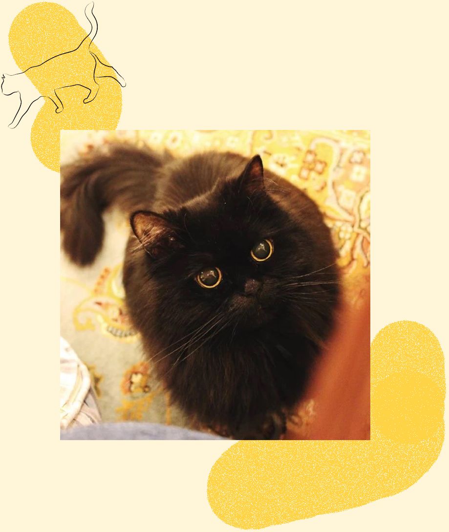 距离RUOK?Week只有一天|羊驼君准备好了,你呢?